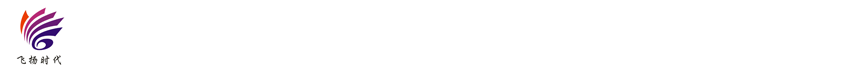 成都飛揚(yáng)時(shí)代科技有限公司 